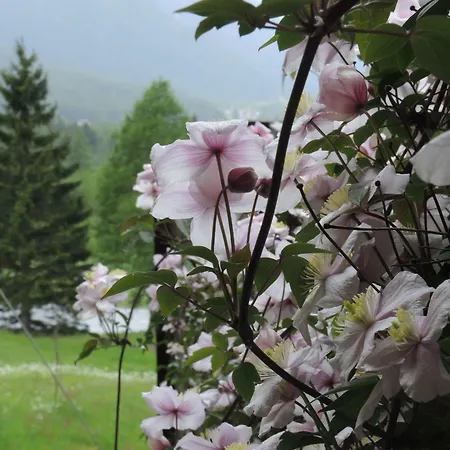 מלון Pranzaira Vicosoprano