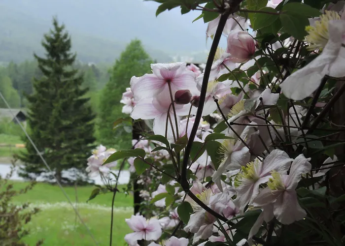 Otel Pranzaira Vicosoprano